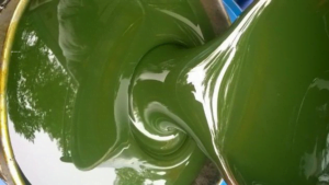 dau hoa deo cao su rpo 2