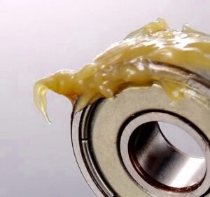 Mo bo boi tron vong bi bac dan