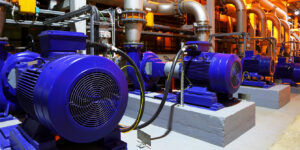 su dung dong co dien