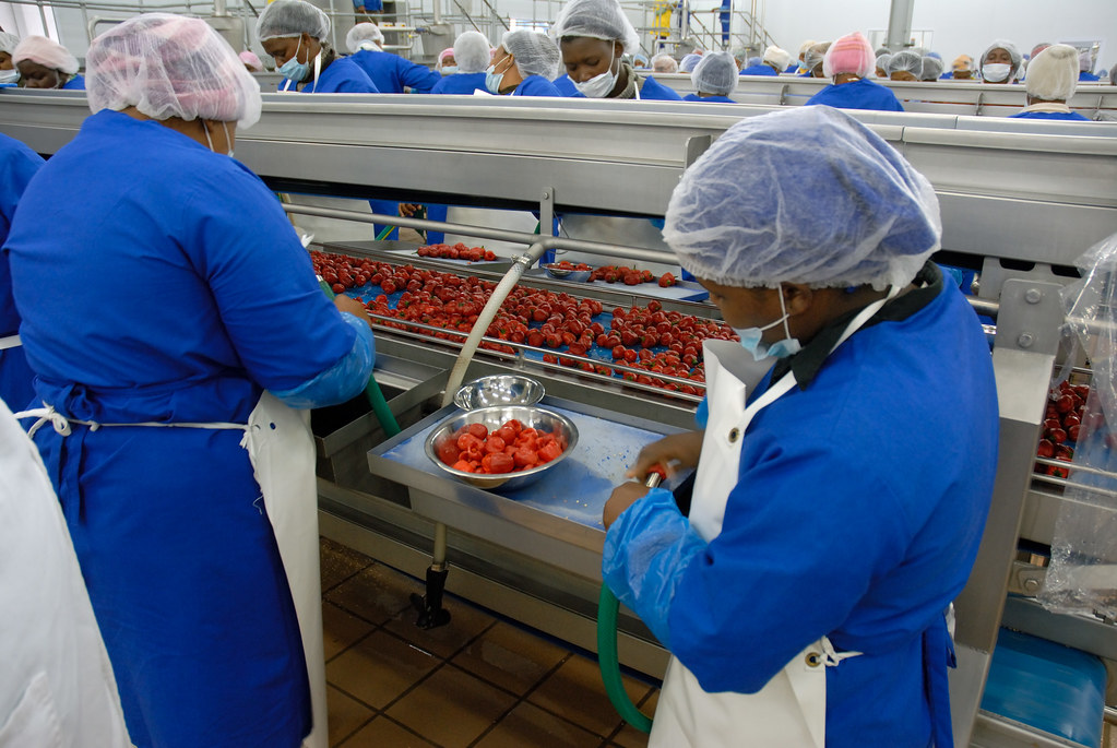 mỡ thực phẩm food grade và điều kiện vận hành thực tế mỡ thực phẩm food grade và điều kiện vận hành thực tế